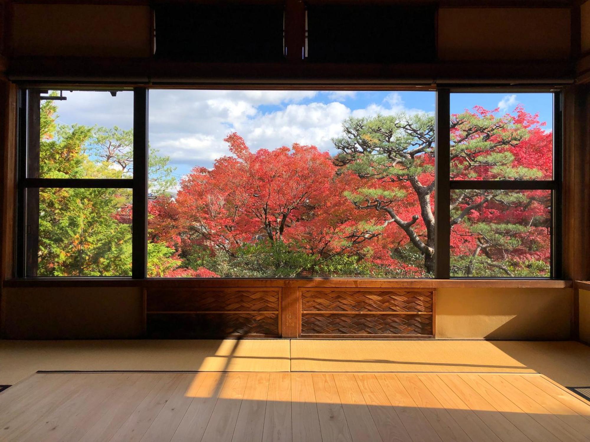 伝心庵 Garden Denshin-an เกียวโต