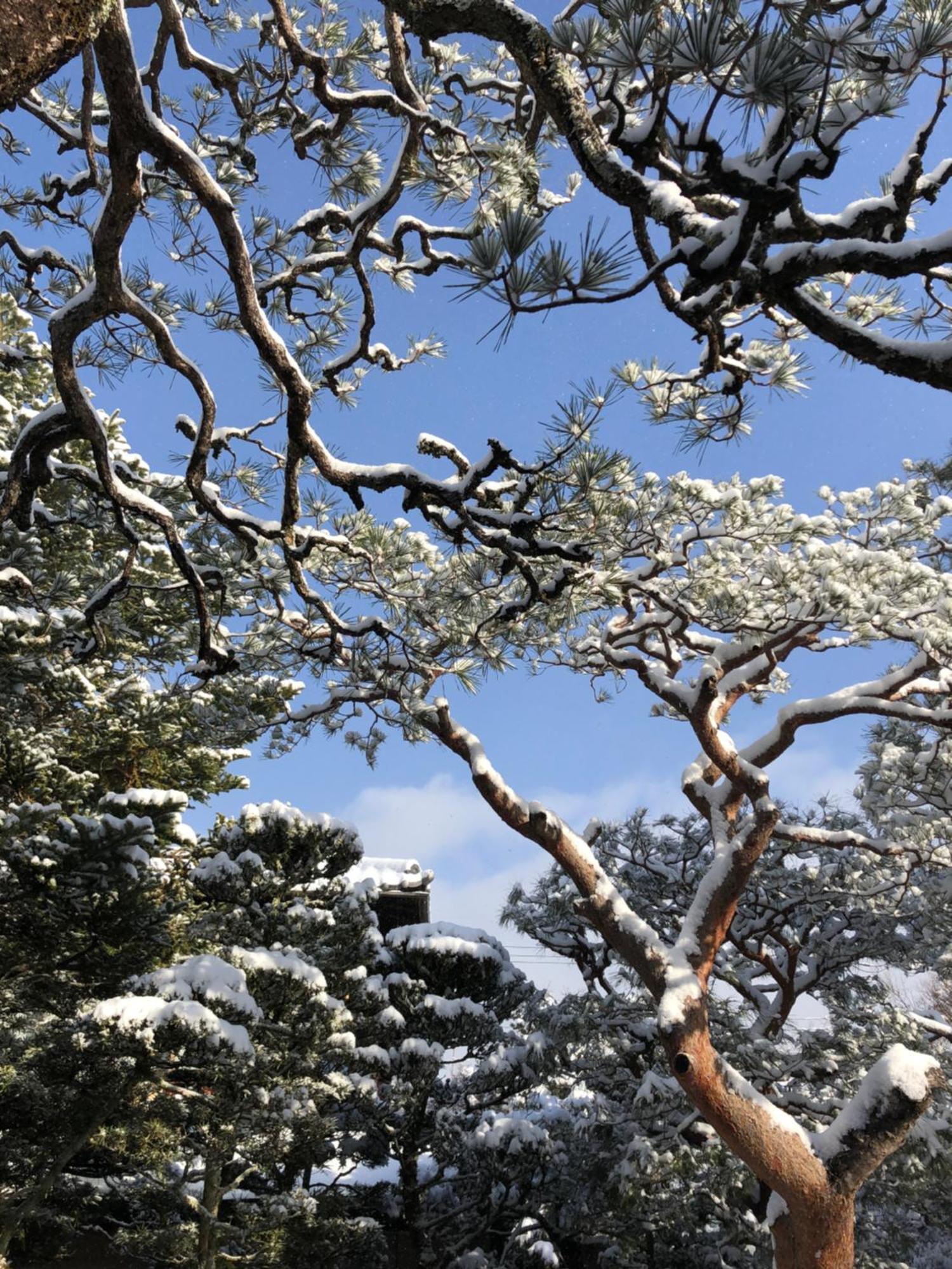 伝心庵 Garden Denshin-an วันหยุดที่บ้าน