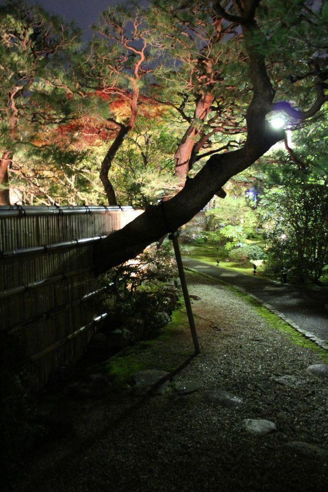 伝心庵 Garden Denshin-an วันหยุดที่บ้าน