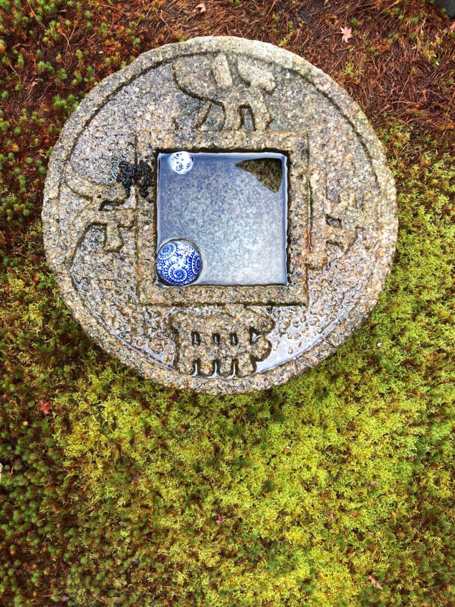 度假居 伝心庵 Garden Denshin-an 京都