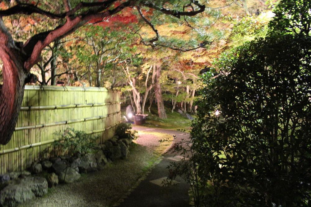 伝心庵 Garden Denshin-an 度假居