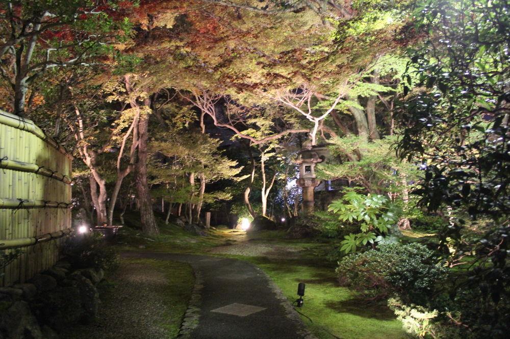 伝心庵 Garden Denshin-an * 京都