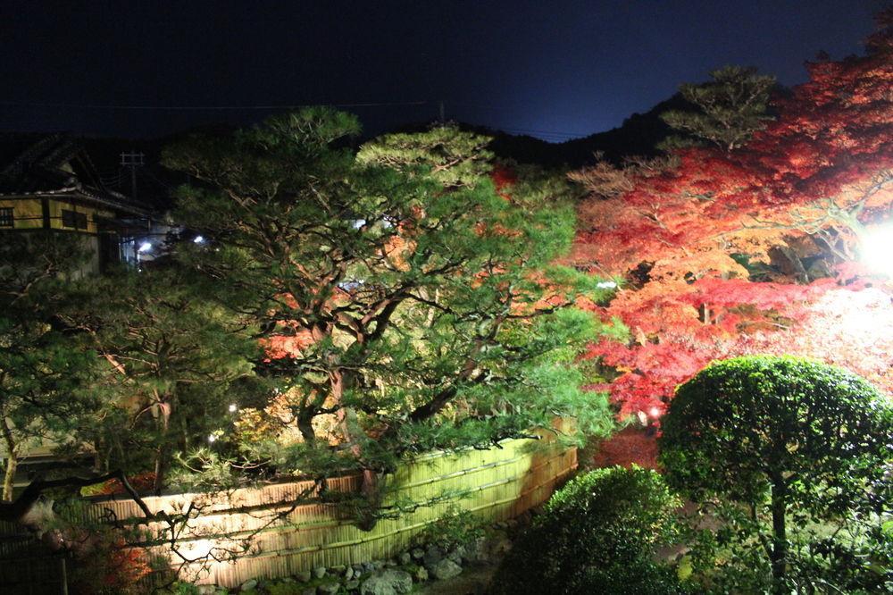 伝心庵 Garden Denshin-an 度假居 *